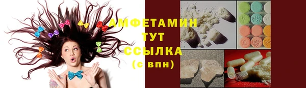 PSILOCYBIN Верея