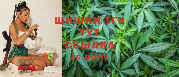 PSILOCYBIN Верея