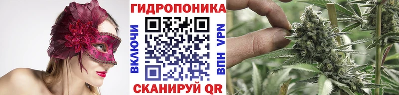 Канабис индика купить цена Губаха